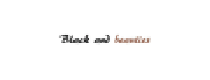 Black and Beauties Program de Afiliados