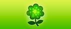 Topflo.ru