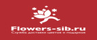 Flowers-sib
