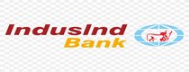 IndusInd Tiger Credit Card  Logo