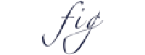 Fig Linens US